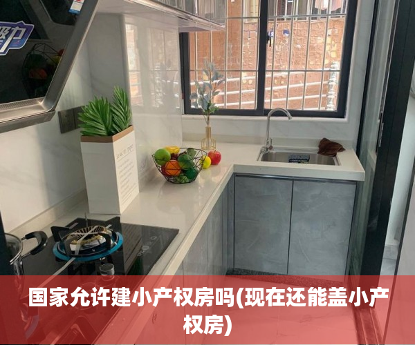 国家允许建小产权房吗(现在还能盖小产权房) 国家允许建小产权房吗(现在还能盖小产权房)