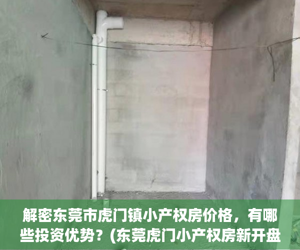 解密东莞市虎门镇小产权房价格，有哪些投资优势？(东莞虎门小产权房新开盘)