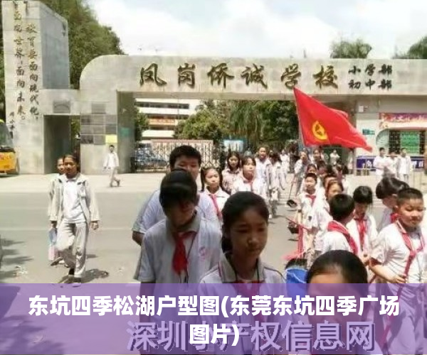 东坑四季松湖户型图(东莞东坑四季广场图片)
