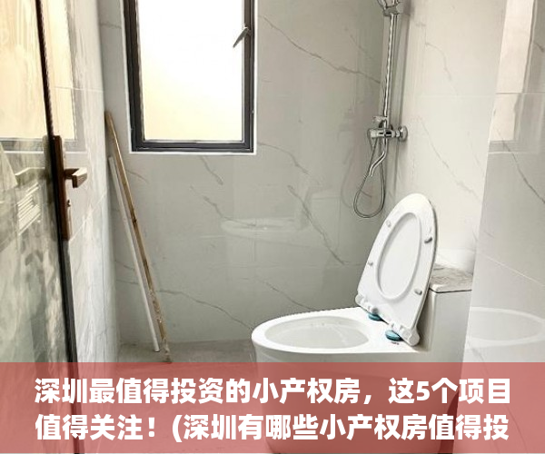 深圳最值得投资的小产权房，这5个项目值得关注！(深圳有哪些小产权房值得投资)