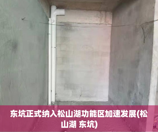 东坑正式纳入松山湖功能区加速发展(松山湖 东坑)