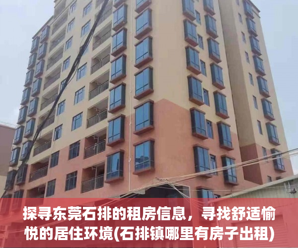 探寻东莞石排的租房信息，寻找舒适愉悦的居住环境(石排镇哪里有房子出租)