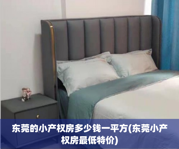 东莞的小产权房多少钱一平方(东莞小产权房最低特价)