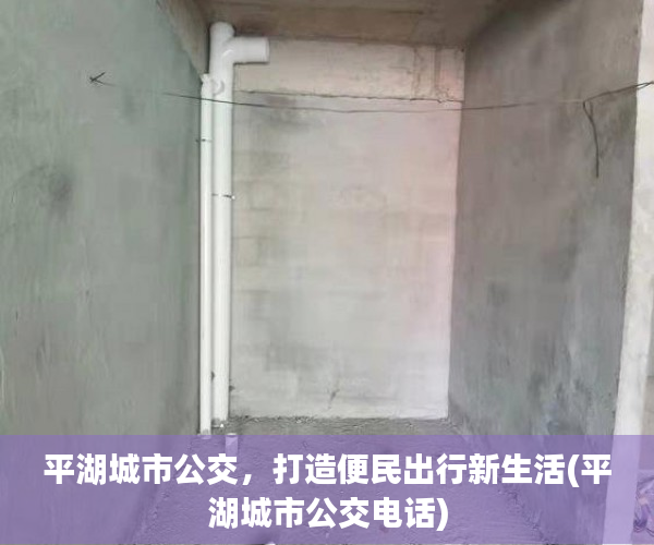 平湖城市公交，打造便民出行新生活(平湖城市公交电话)