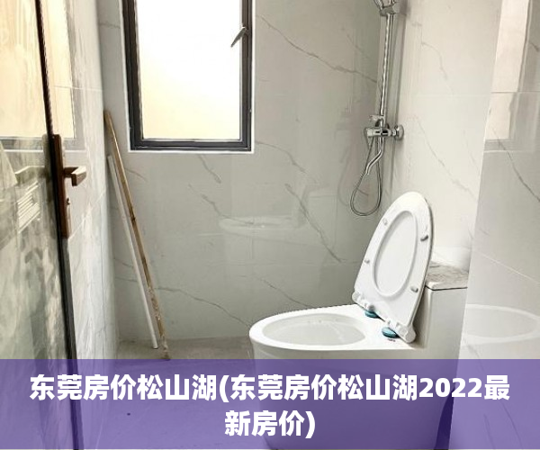 东莞房价松山湖(东莞房价松山湖2022最新房价) 东莞房价松山湖(东莞房价松山湖2022最新房价)