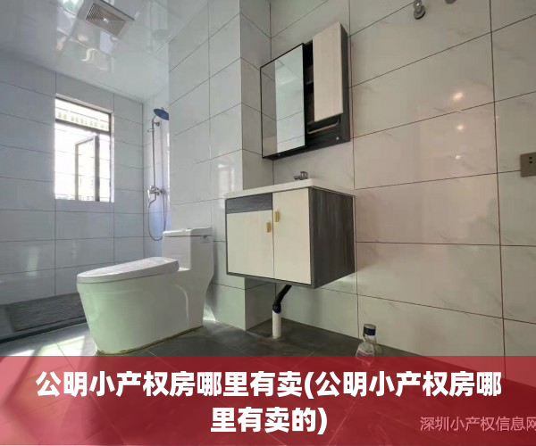 公明小产权房哪里有卖(公明小产权房哪里有卖的) 公明小产权房哪里有卖(公明小产权房哪里有卖的)