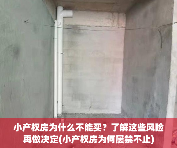 小产权房为什么不能买？了解这些风险再做决定(小产权房为何屡禁不止)