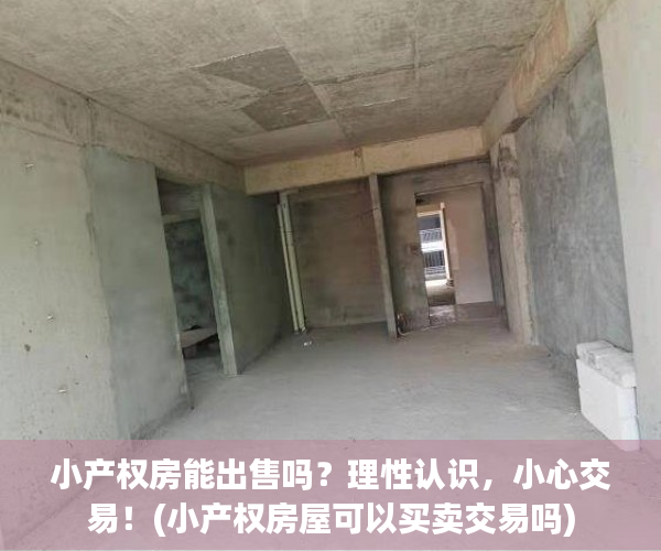 小产权房能出售吗？理性认识，小心交易！(小产权房屋可以买卖交易吗)