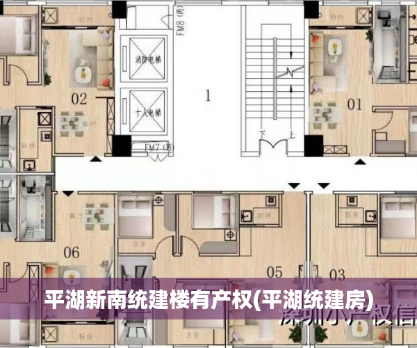 平湖新南统建楼有产权(平湖统建房)