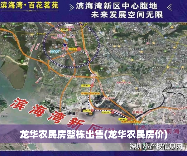龙华农民房整栋出售(龙华农民房价)