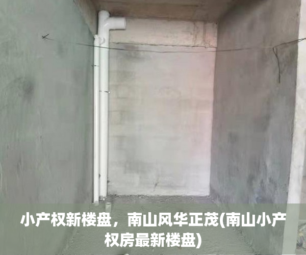 小产权新楼盘，南山风华正茂(南山小产权房最新楼盘)