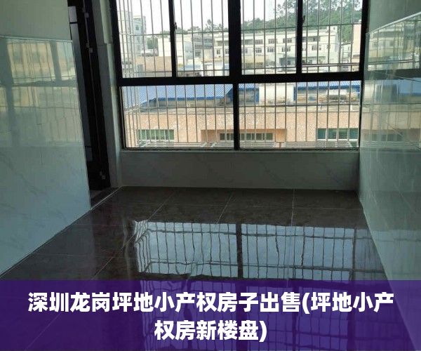 深圳龙岗坪地小产权房子出售(坪地小产权房新楼盘) 深圳龙岗坪地小产权房子出售(坪地小产权房新楼盘)