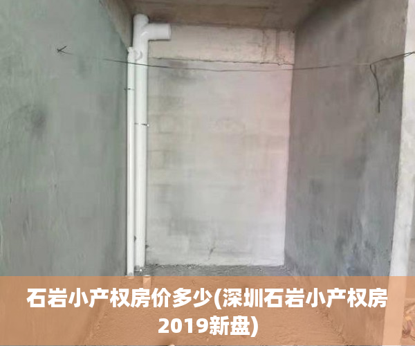 石岩小产权房价多少(深圳石岩小产权房2019新盘) 石岩小产权房价多少(深圳石岩小产权房2019新盘)