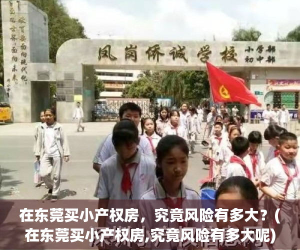 在东莞买小产权房，究竟风险有多大？(在东莞买小产权房,究竟风险有多大呢)