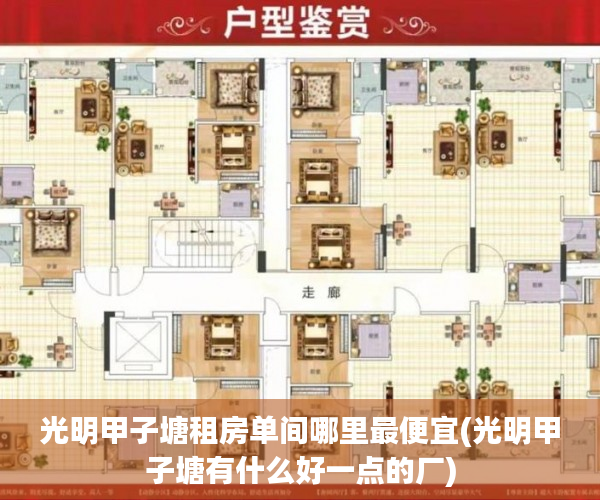 光明甲子塘租房单间哪里最便宜(光明甲子塘有什么好一点的厂)
