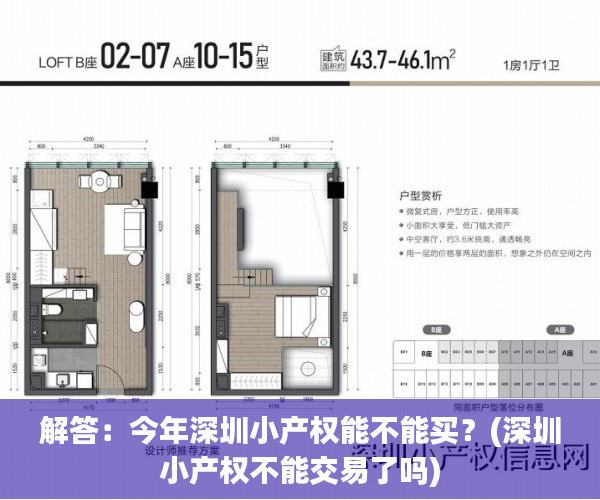 解答：今年深圳小产权能不能买？(深圳小产权不能交易了吗)