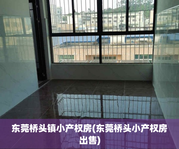 东莞桥头镇小产权房(东莞桥头小产权房出售) 东莞桥头镇小产权房(东莞桥头小产权房出售)