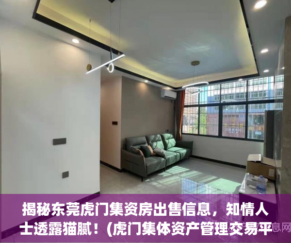 揭秘东莞虎门集资房出售信息，知情人士透露猫腻！(虎门集体资产管理交易平台)