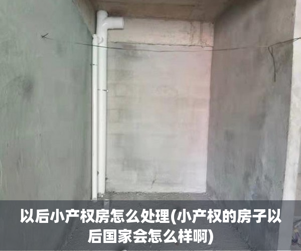 以后小产权房怎么处理(小产权的房子以后国家会怎么样啊) 以后小产权房怎么处理(小产权的房子以后国家会怎么样啊)