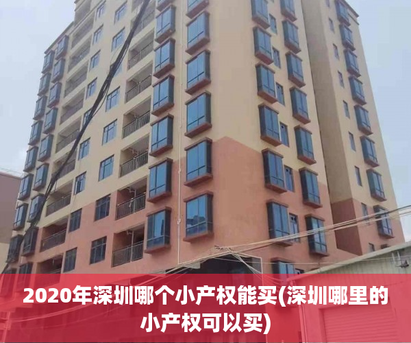2020年深圳哪个小产权能买(深圳哪里的小产权可以买) 2020年深圳哪个小产权能买(深圳哪里的小产权可以买)