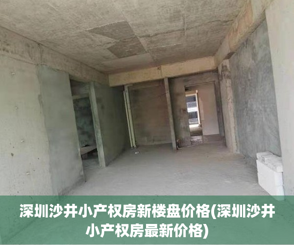 深圳沙井小产权房新楼盘价格(深圳沙井小产权房最新价格)