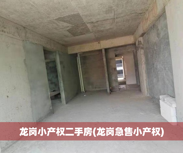龙岗小产权二手房(龙岗急售小产权) 龙岗小产权二手房(龙岗急售小产权)