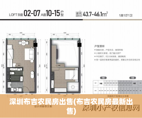 深圳布吉农民房出售(布吉农民房最新出售) 深圳布吉农民房出售(布吉农民房最新出售)