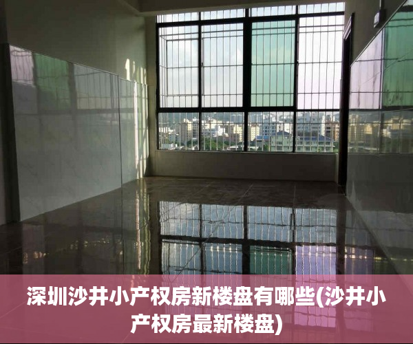 深圳沙井小产权房新楼盘有哪些(沙井小产权房最新楼盘)