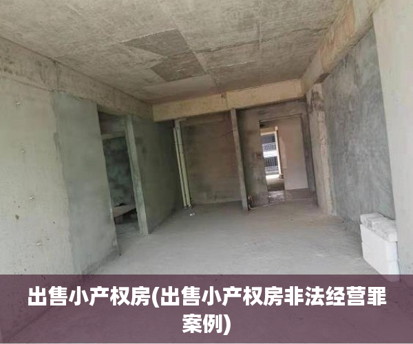 出售小产权房(出售小产权房非法经营罪案例) 出售小产权房(出售小产权房非法经营罪案例)