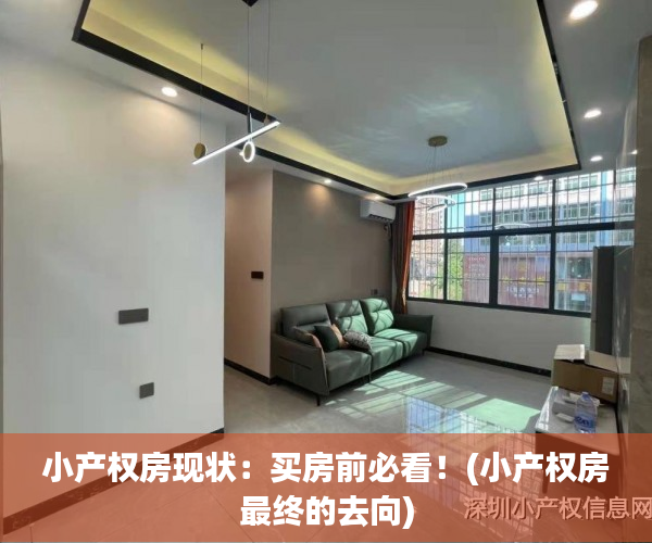 小产权房现状：买房前必看！(小产权房最终的去向)