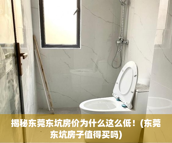 揭秘东莞东坑房价为什么这么低！(东莞东坑房子值得买吗)