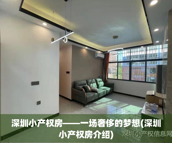 深圳小产权房——一场奢侈的梦想(深圳小产权房介绍)