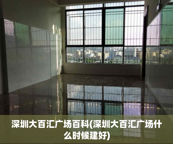 深圳大百汇广场百科(深圳大百汇广场什么时候建好) 深圳大百汇广场百科(深圳大百汇广场什么时候建好)