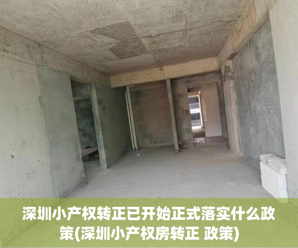 深圳小产权转正已开始正式落实什么政策(深圳小产权房转正 政策)