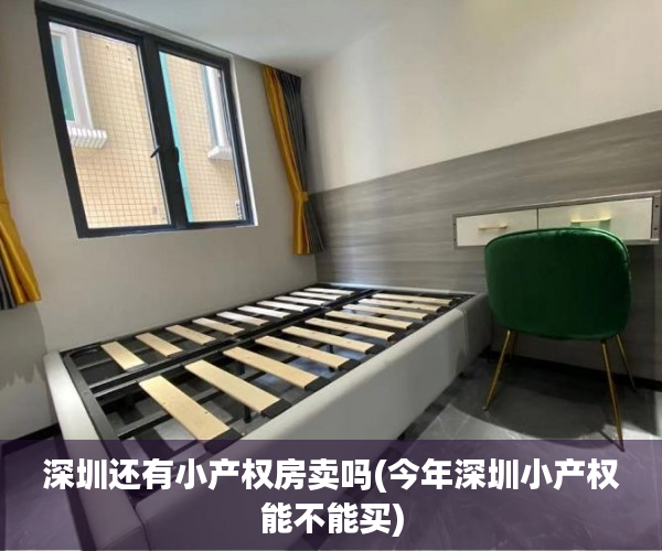 深圳还有小产权房卖吗(今年深圳小产权能不能买) 深圳还有小产权房卖吗(今年深圳小产权能不能买)
