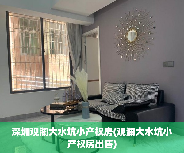 深圳观澜大水坑小产权房(观澜大水坑小产权房出售)