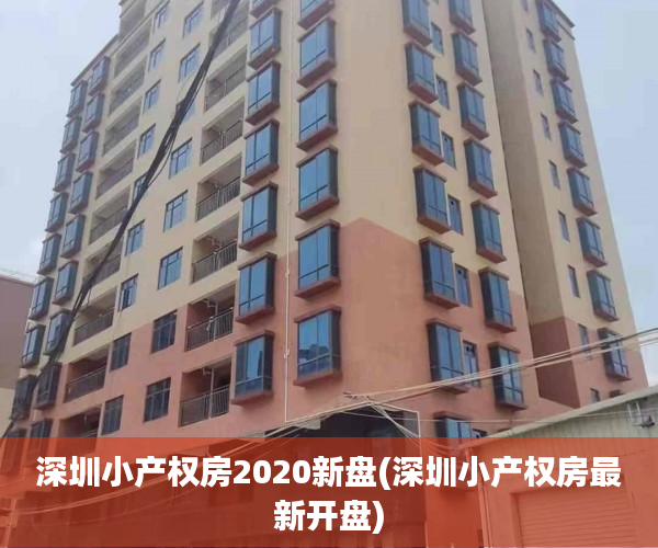 深圳小产权房2020新盘(深圳小产权房最新开盘)