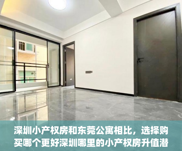 深圳小产权房和东莞公寓相比，选择购买哪个更好深圳哪里的小产权房升值潜力最大一点？  小产权_深圳小产权房