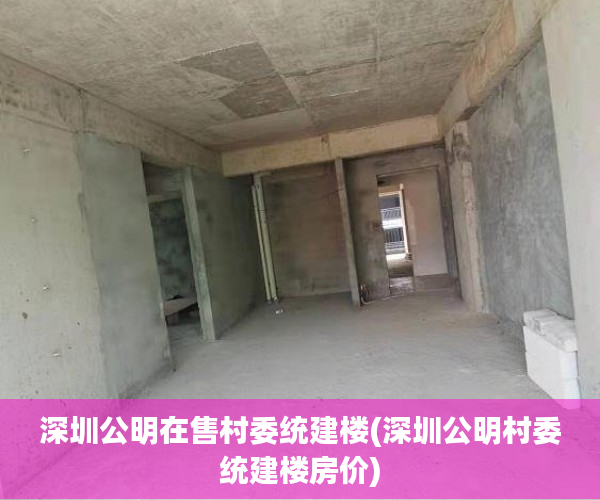 深圳公明在售村委统建楼(深圳公明村委统建楼房价)