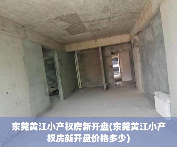 东莞黄江小产权房新开盘(东莞黄江小产权房新开盘价格多少) 东莞黄江小产权房新开盘(东莞黄江小产权房新开盘价格多少)