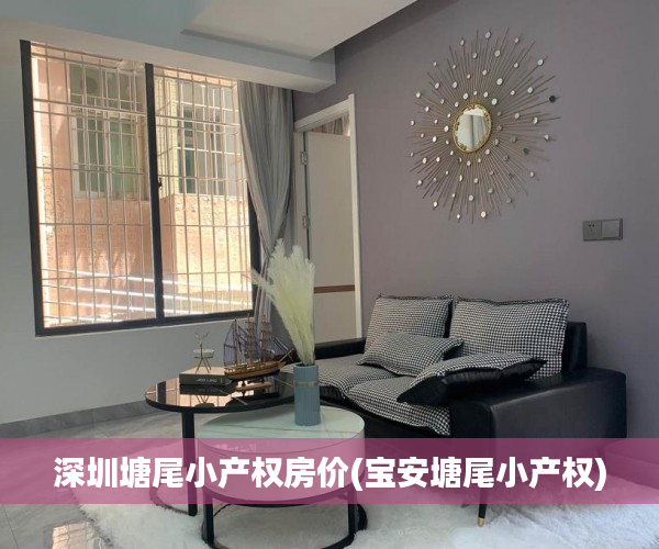 深圳塘尾小产权房价(宝安塘尾小产权)