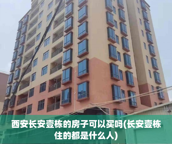 西安长安壹栋的房子可以买吗(长安壹栋住的都是什么人) 西安长安壹栋的房子可以买吗(长安壹栋住的都是什么人)