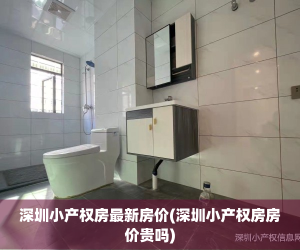 深圳小产权房最新房价(深圳小产权房房价贵吗)