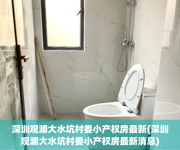 深圳观澜大水坑村委小产权房最新(深圳观澜大水坑村委小产权房最新消息)