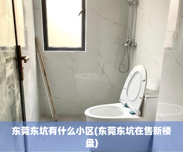 东莞东坑有什么小区(东莞东坑在售新楼盘) 东莞东坑有什么小区(东莞东坑在售新楼盘)