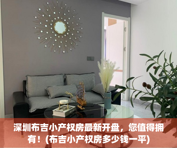 深圳布吉小产权房最新开盘，您值得拥有！(布吉小产权房多少钱一平)