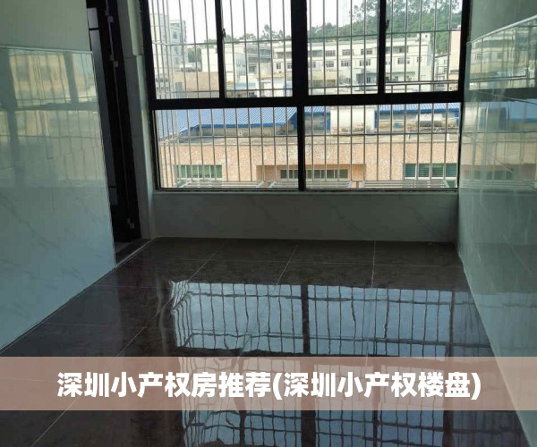深圳小产权房推荐(深圳小产权楼盘)