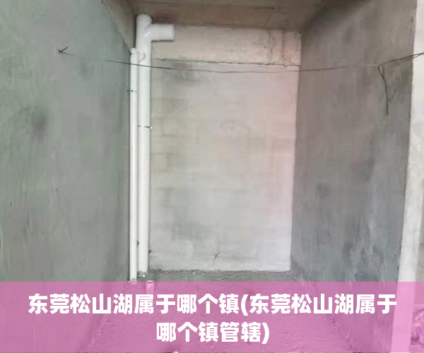 东莞松山湖属于哪个镇(东莞松山湖属于哪个镇管辖)