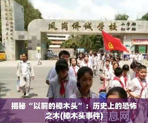揭秘“以前的樟木头”：历史上的恐怖之木(樟木头事件)
