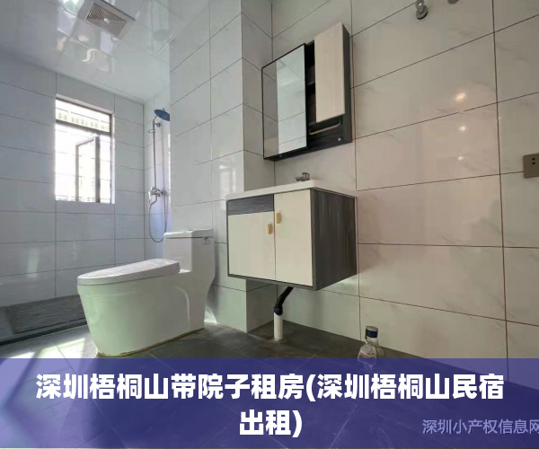 深圳梧桐山带院子租房(深圳梧桐山民宿出租)
